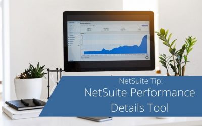 NetSuite Performance Details Tool
