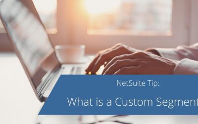 What is a Custom Segment?